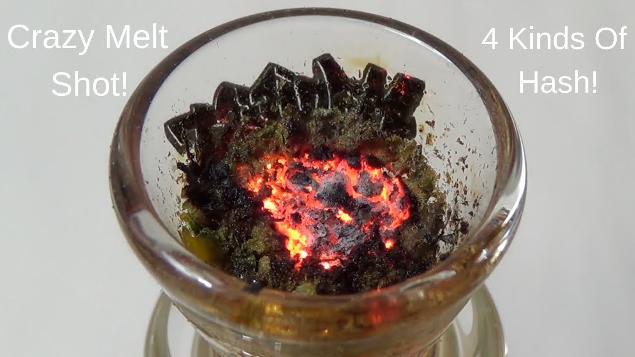 Crazy Melt Shot (4 Kinds Of Hash)!