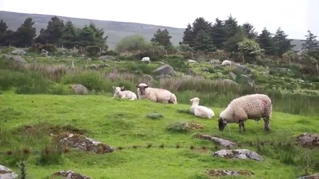 Wicklow Way in 3 days