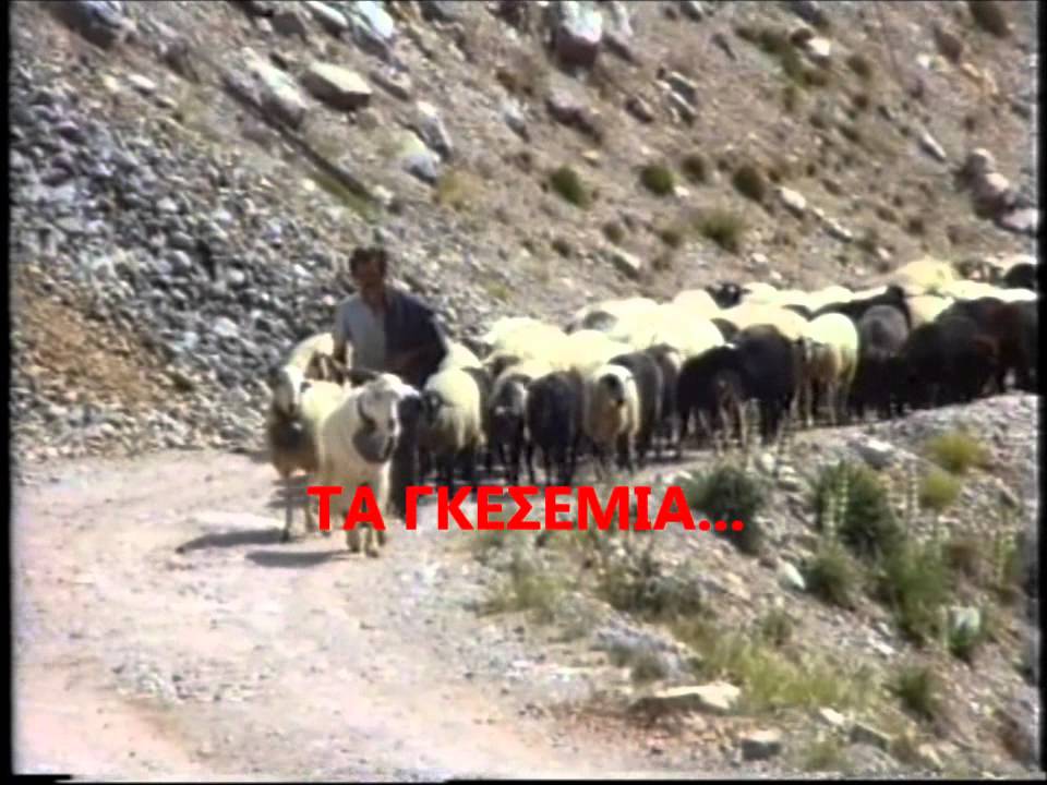 ΓΑΡΔΙΚΙ ΤΡΙΚΑΛΩΝ-ΓΑΡΔΙΚΙΩΤΕΣ ΤΣΕΛΙΓΚΑΔΕΣ