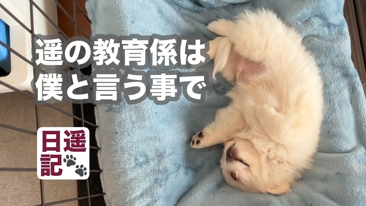 2026年2月11日　遥の教育は、もう始まってんのよ。お願いね陸君❗️