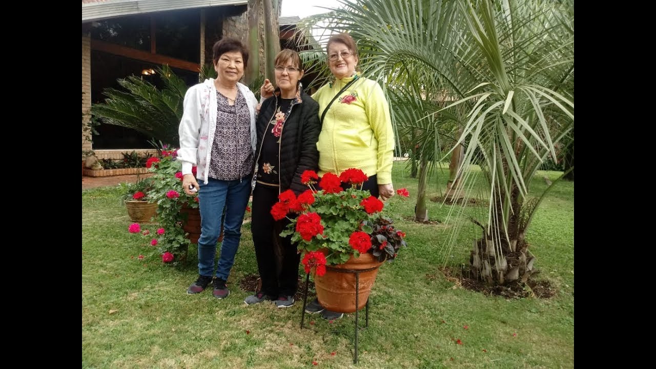 DO&Ntilde;A JUANA Y SUS 30 A&Ntilde;OS DE AMOR POR LAS PLANTAS