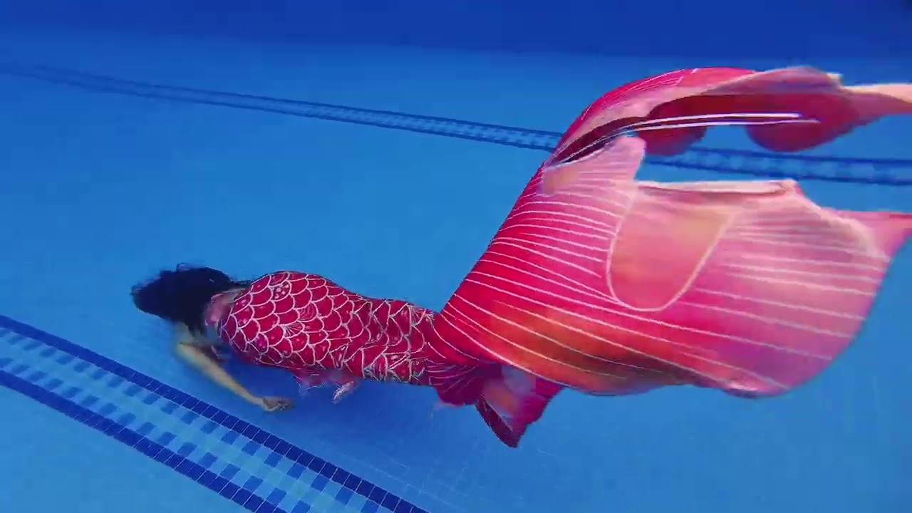 LẶN TIÊN CÁ - LẶN MERMAID BUỔI 1 #mermaid #lantienca #lanmermaid #freediver