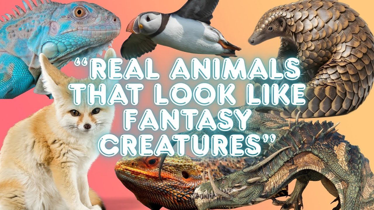 “Real Animals That Look Like Fantasy Creatures”