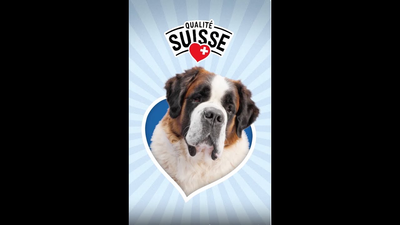 Stagione sciistica Bernie | Lidl Svizzera