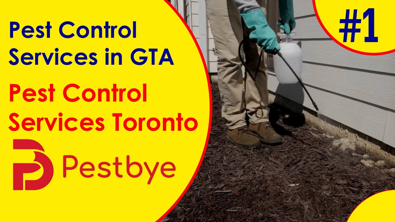 Pest Control Services in GTA, Pest Control Company in Toronto, Canada