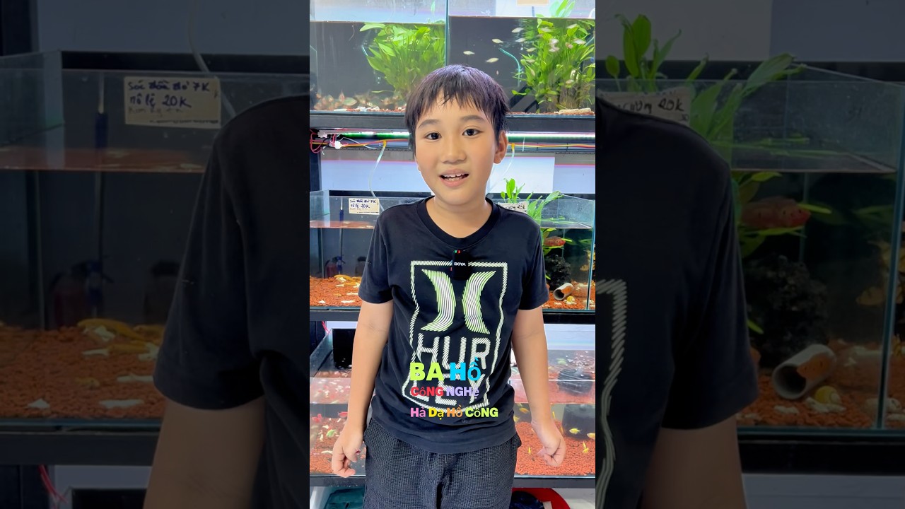 Đi mua hồ c&aacute; c&ocirc;ng nghệ về chơi #bettasales #pentashop #ngocdiemaquarium