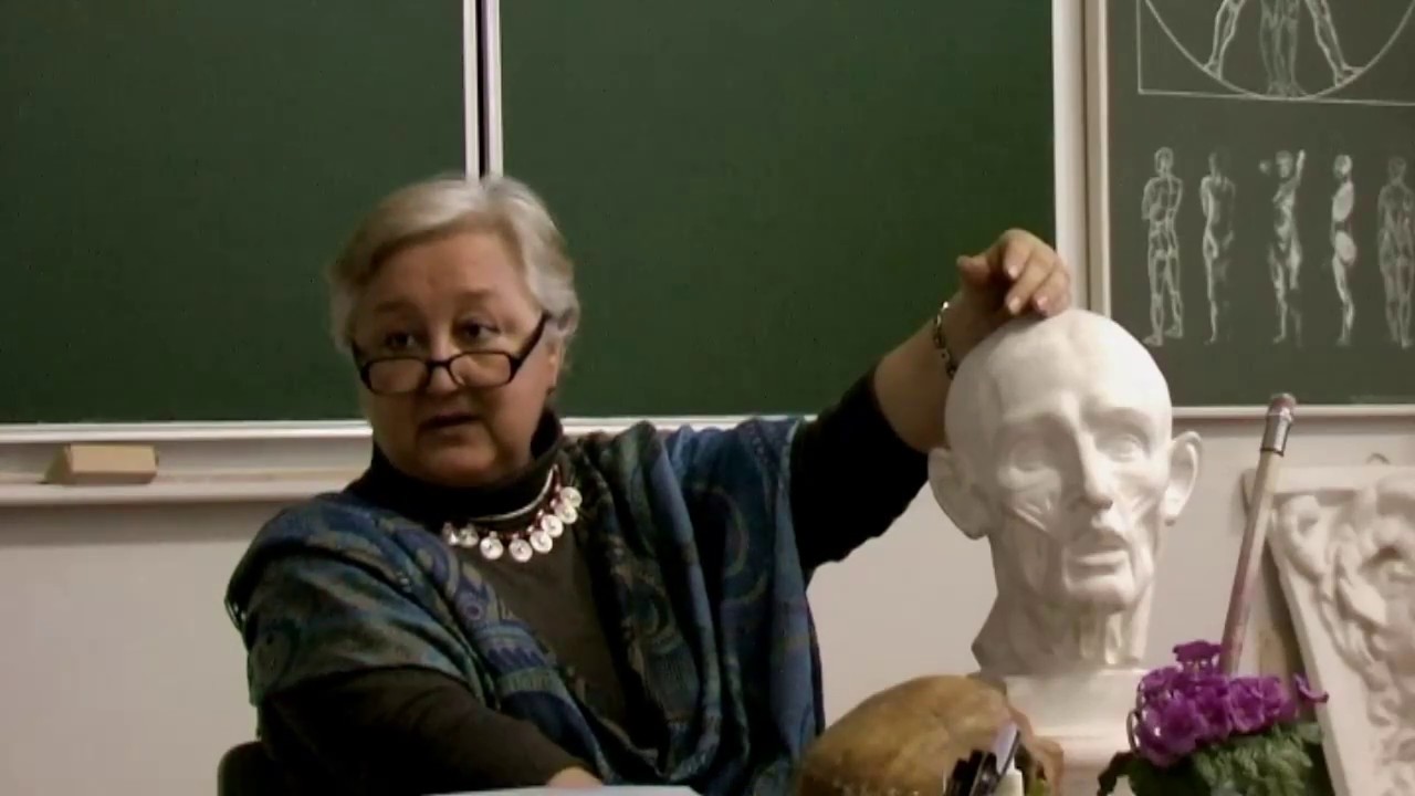 713 Мб Мышцы головы