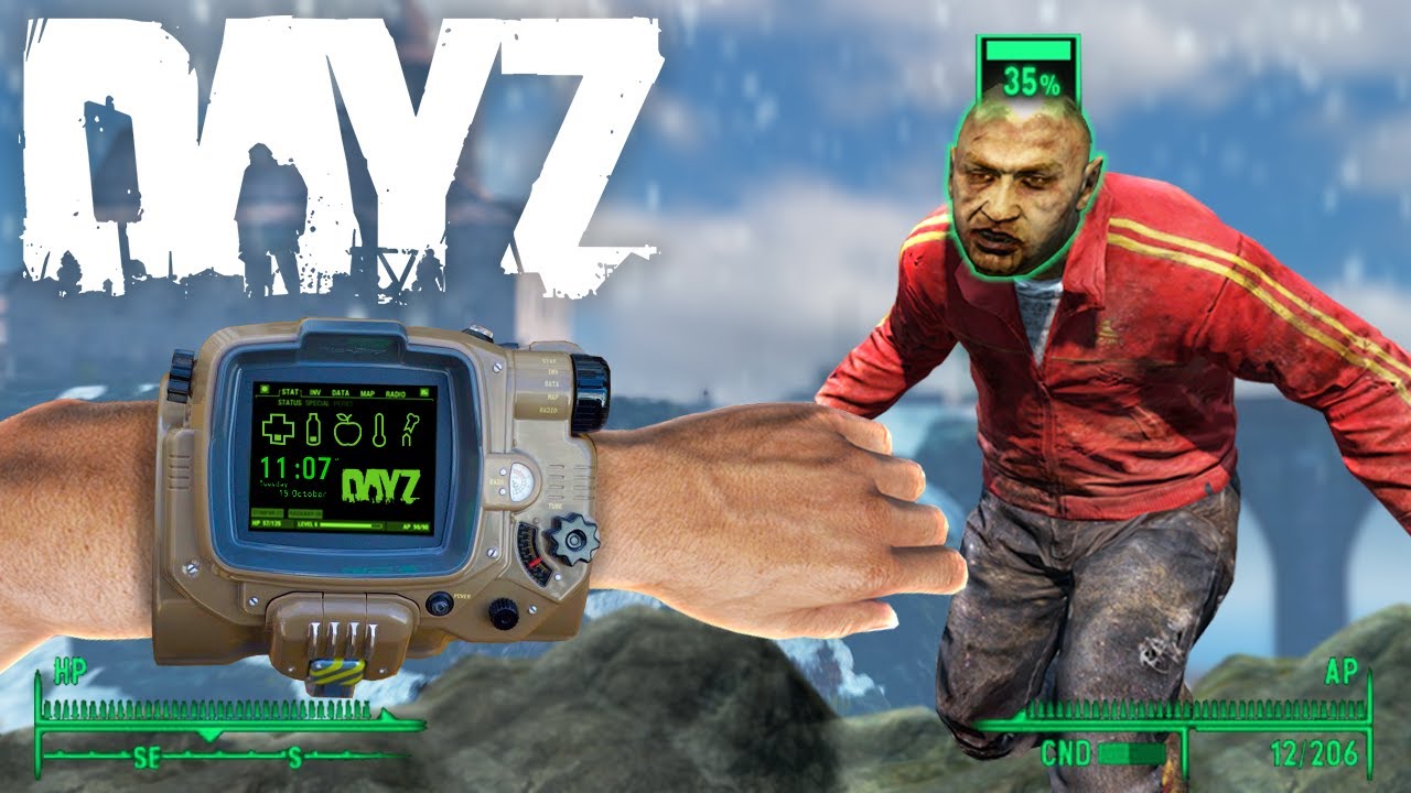 We Tried a BRILLIANT Fallout DayZ Server! 🚨