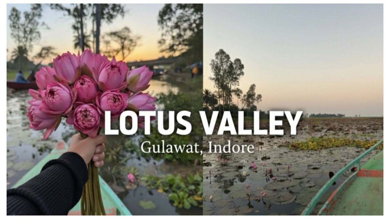 Best place to visit in 📍Indore -Lotus Valley 🪷 