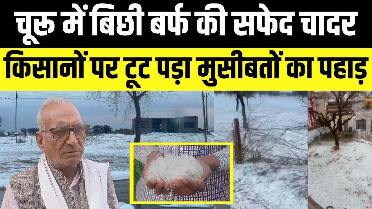 Churu news : Churu में हुई ओलावृष्टि से हुआ भारी नुकसान, किसानों की भी बड़ी चिंता
