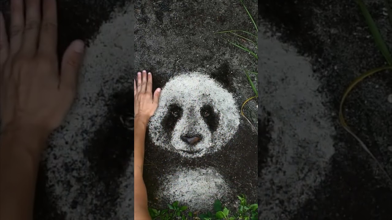 GIANT PANDA Nature Art