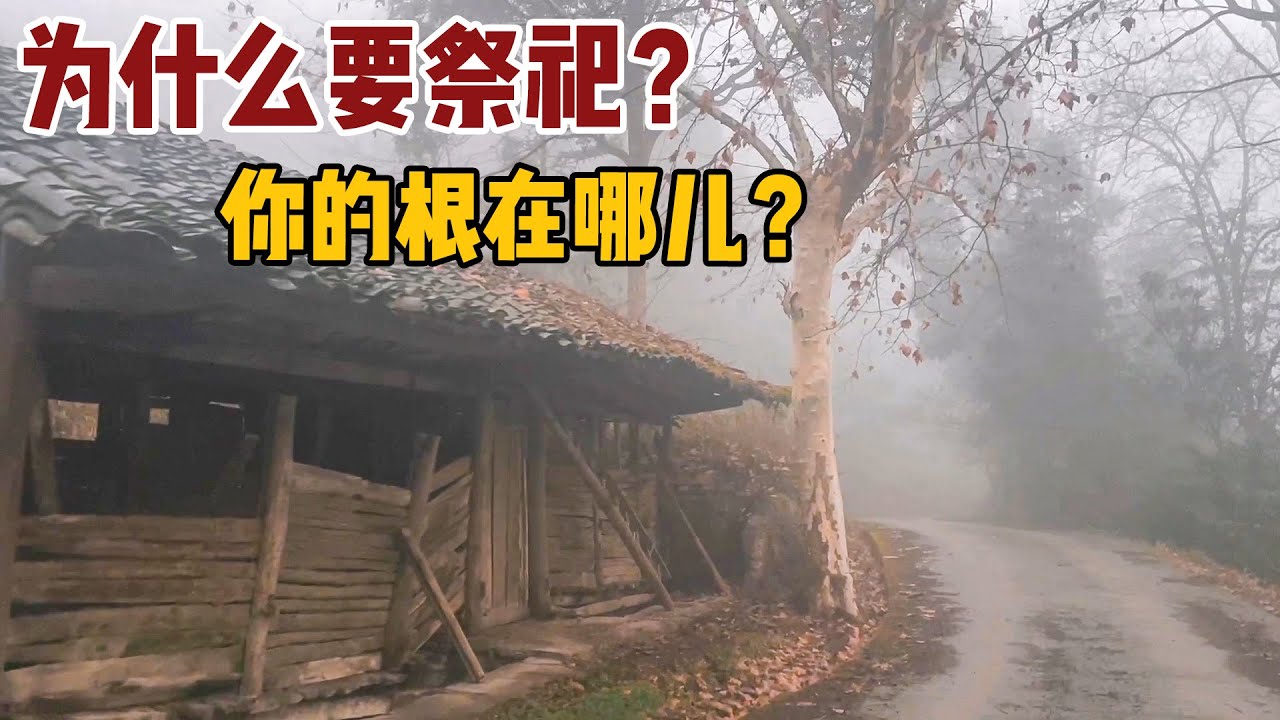 我们为什么要祭拜先人，今年回家很凄凉，心中突然有了很多感慨【小白的奇幻旅行】