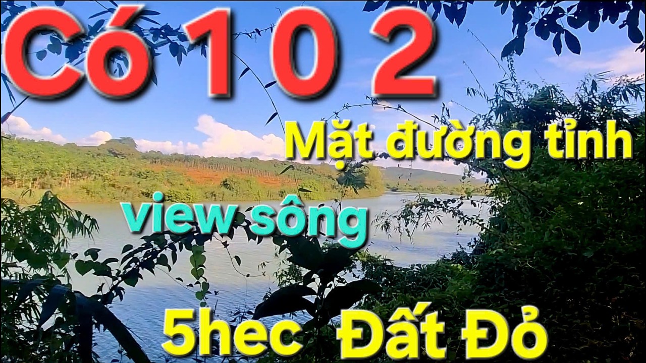 Bán Siêu Phẩm Vườn Đất Đỏ View Sông Bù Gia Mập Bình Phước, 5hec điều, thu nhập mạnh, 400m sông