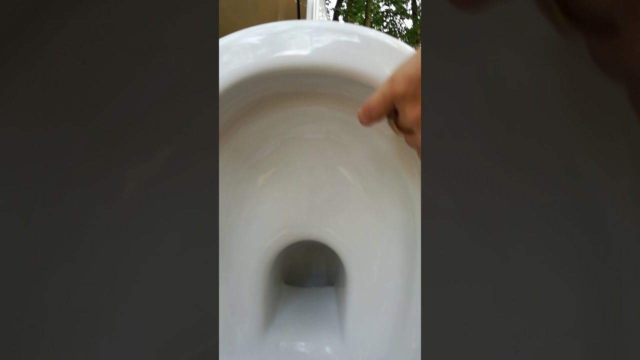 Toilette sans bride pr&eacute;sent&eacute; par Karine