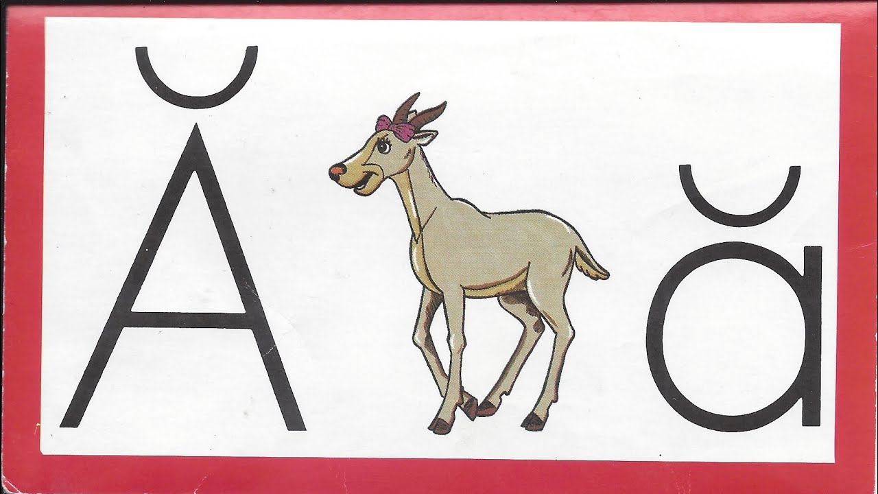 Kindergarten with Ace and Christy - Letters - Weeks 1-6 (A.C.E. Accelerated Christian Education)