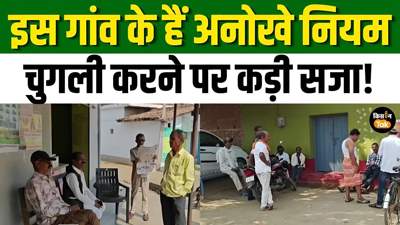 Chhatisgarh News: इस गांव में गाली देने और छुट्टा पशु छोड़ने पर मिलती है सजा, जानिए गांव के नियम
