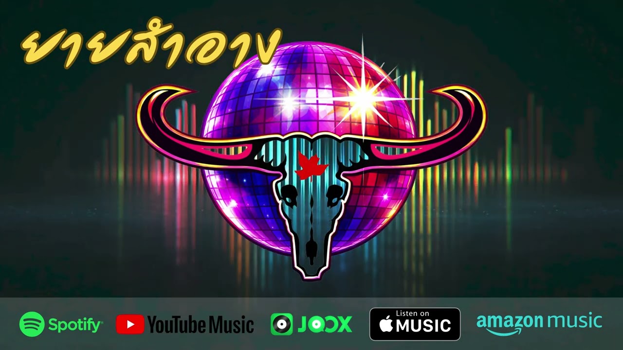 ยายสำอาง DISCO COVER