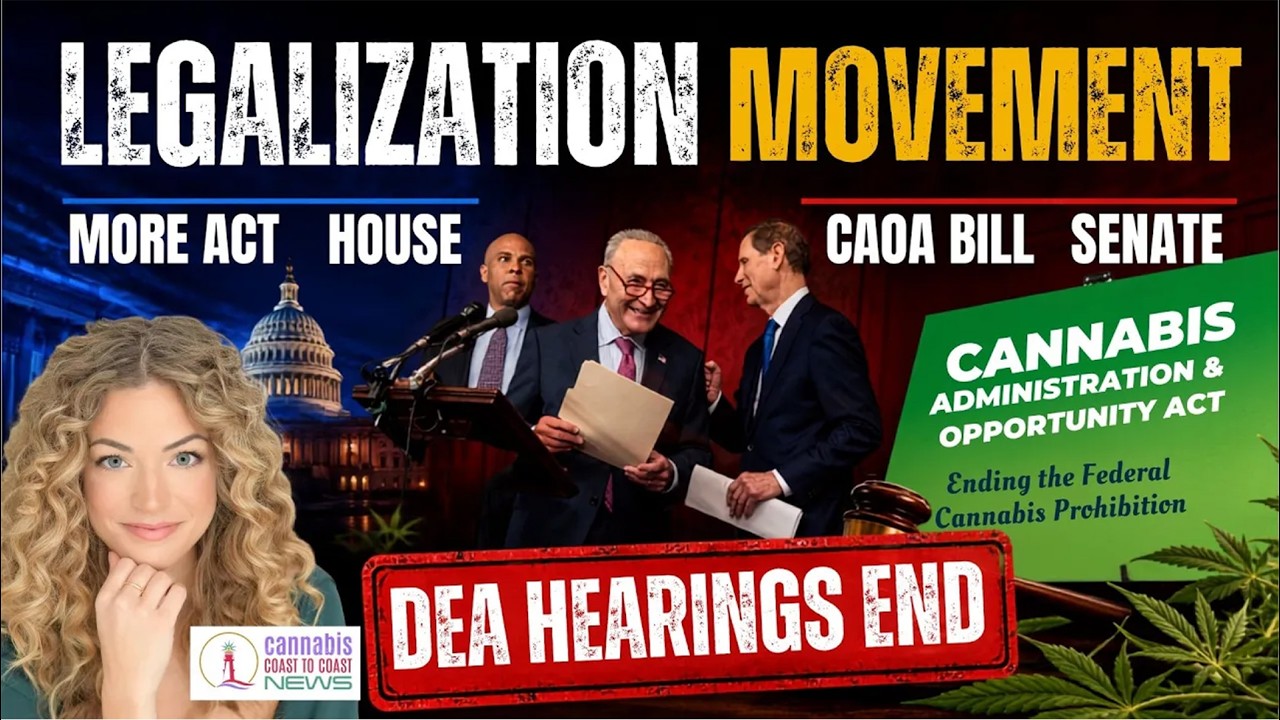 Legalization Movement in Congress, What impact will this have internationally?