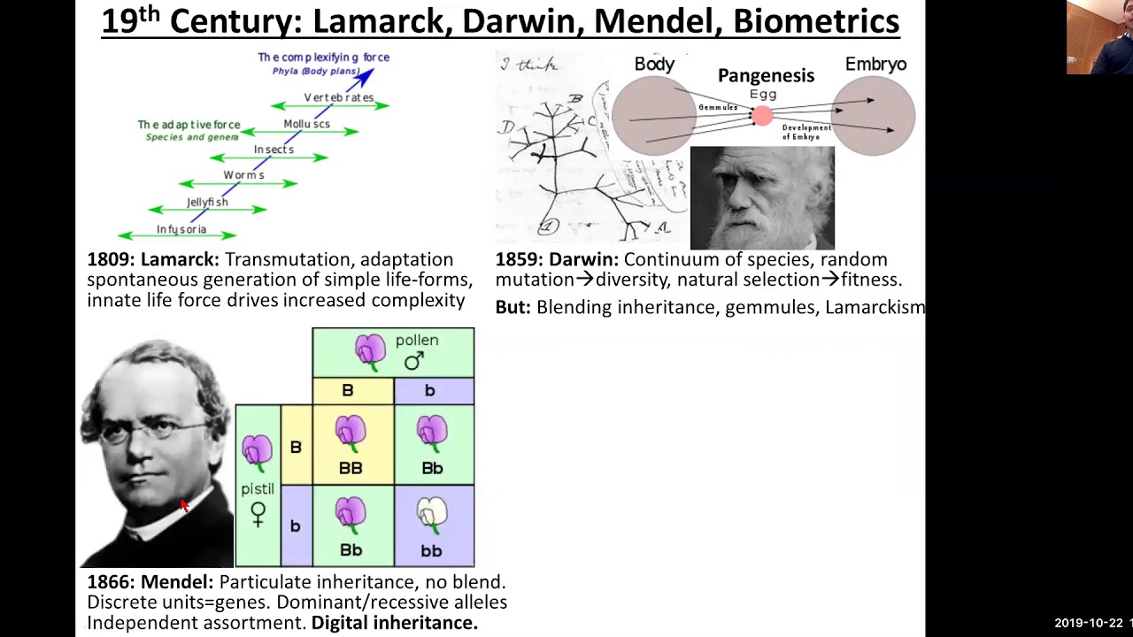 MIT Compbio Lecture 13 - Population Genetics (Fall 2019)