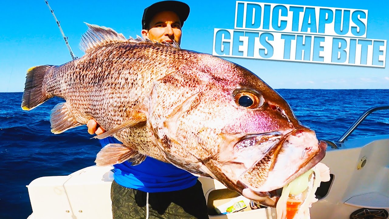 DHUFISH // зондирование, ловля, разделка на филе, приготовление