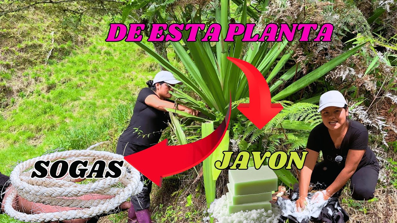 De esta manera fabricamos nuestra propia soga y javon en el campo  -NATHALIA