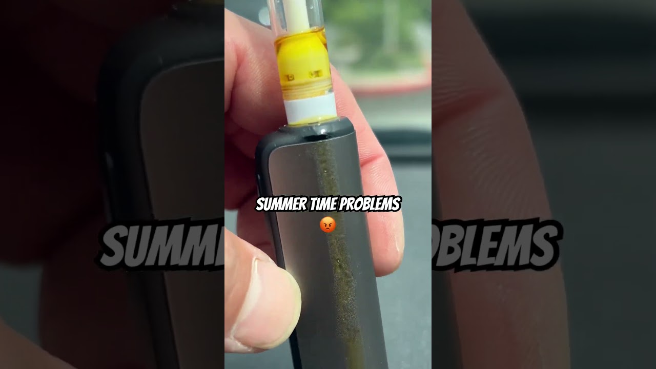 The Sun Ruined The Day 😂 #shortsfeed #summer #funny