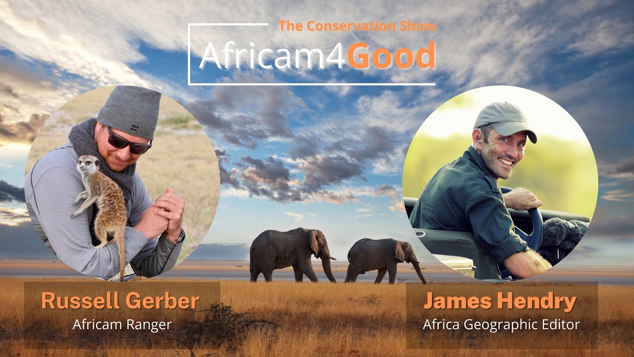 Africam4Good | World Elephant Day