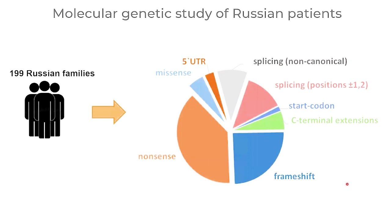 Functional reassessment of PAX6