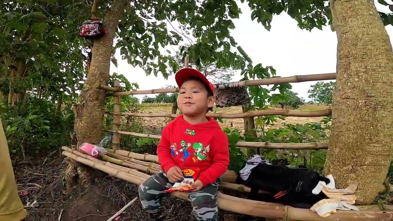 PANGALAWANG ARAW NG PAG HARVEST NG MAIS KASAMA ANG BATANG MAKULIT