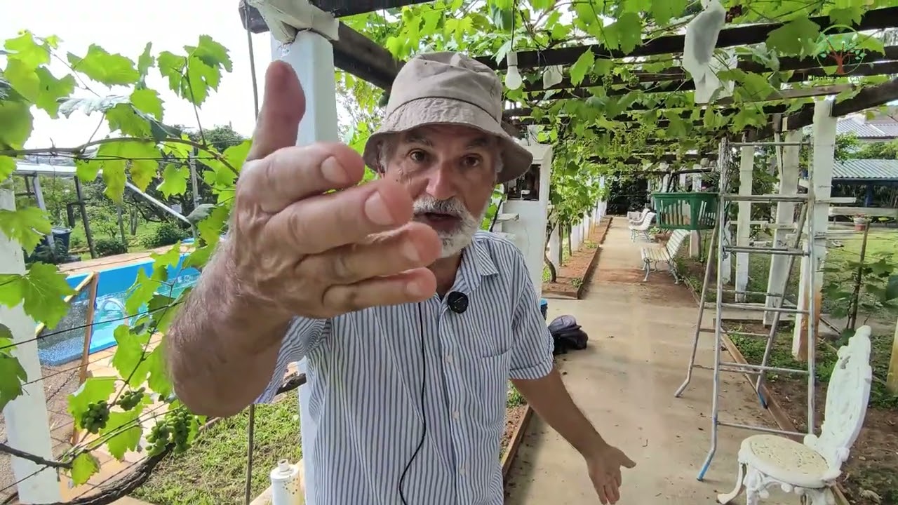 Pomar Orgânico sem Agrotoxico funciona, veja com Sergio Semerdjian