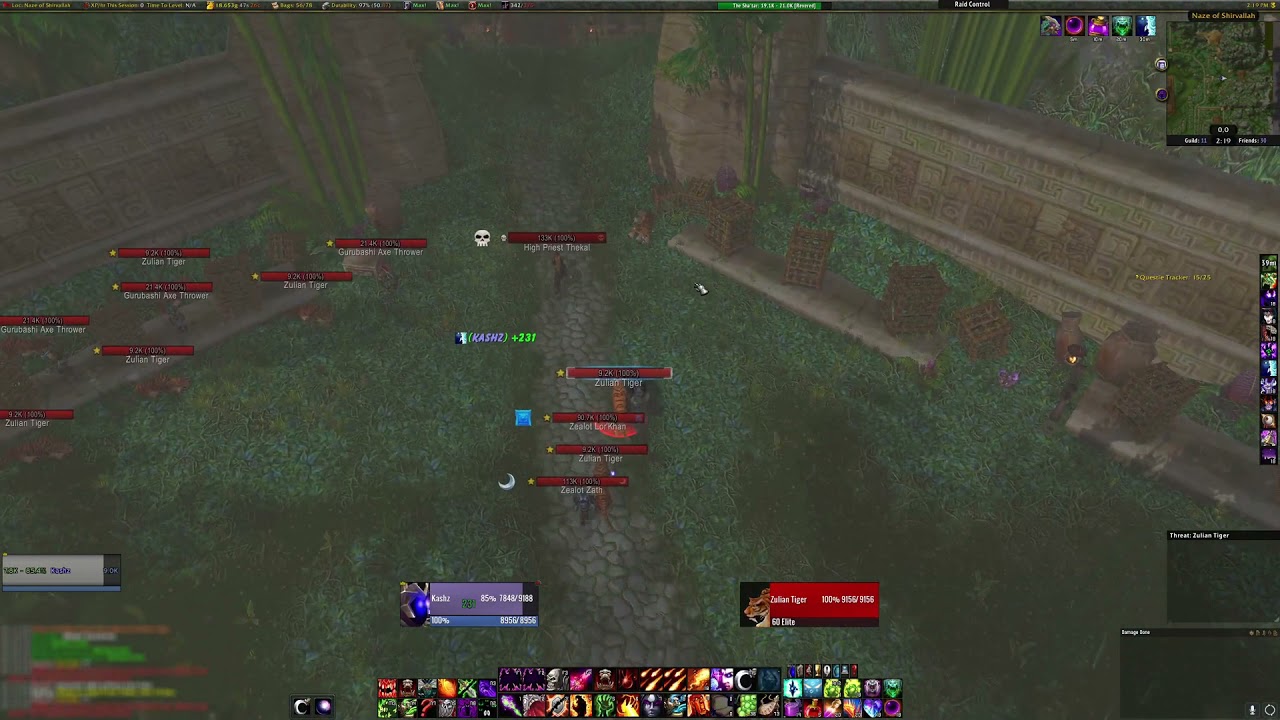 TBC Classic - Warlock Solo Tiger Boss