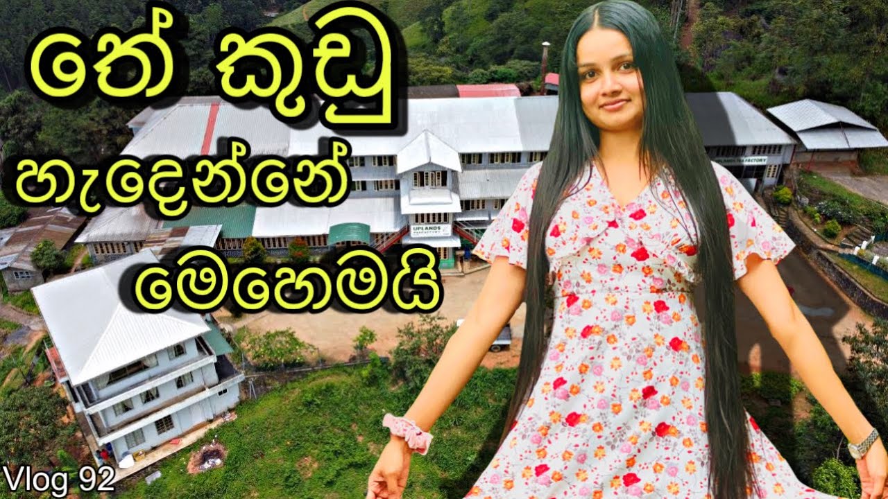 තේ බීවට හදන විදිහ දන්නවද? | Tea factory visit | Uplands tea factory| Process of tea @WolfyVlogs