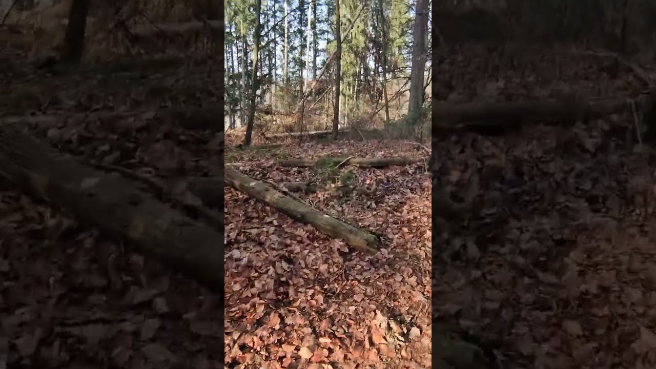 21 มกราคม ค.ศ. 2026