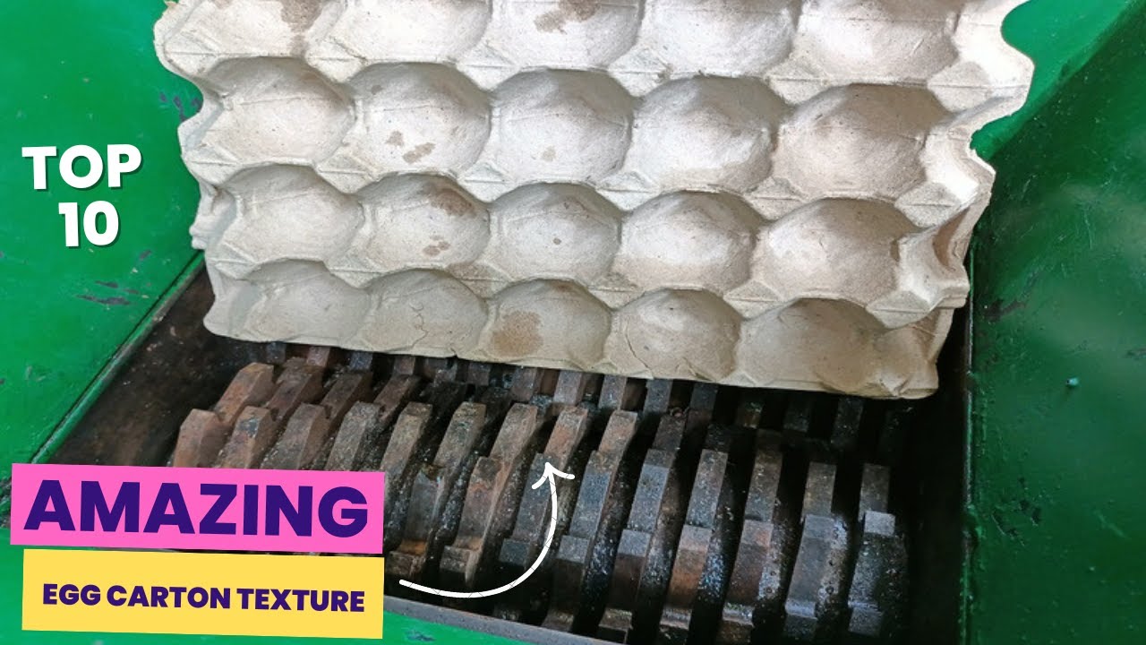Top 10 Compilation EGG CARTON TEXTURE vs Fast Shredder Machine