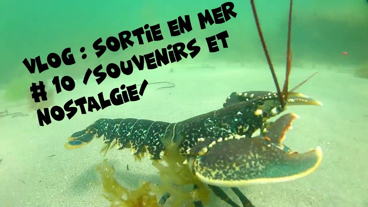 VLOG : SORTIE EN MER #10 /SOUVENIRS ET NOSTALGIE/