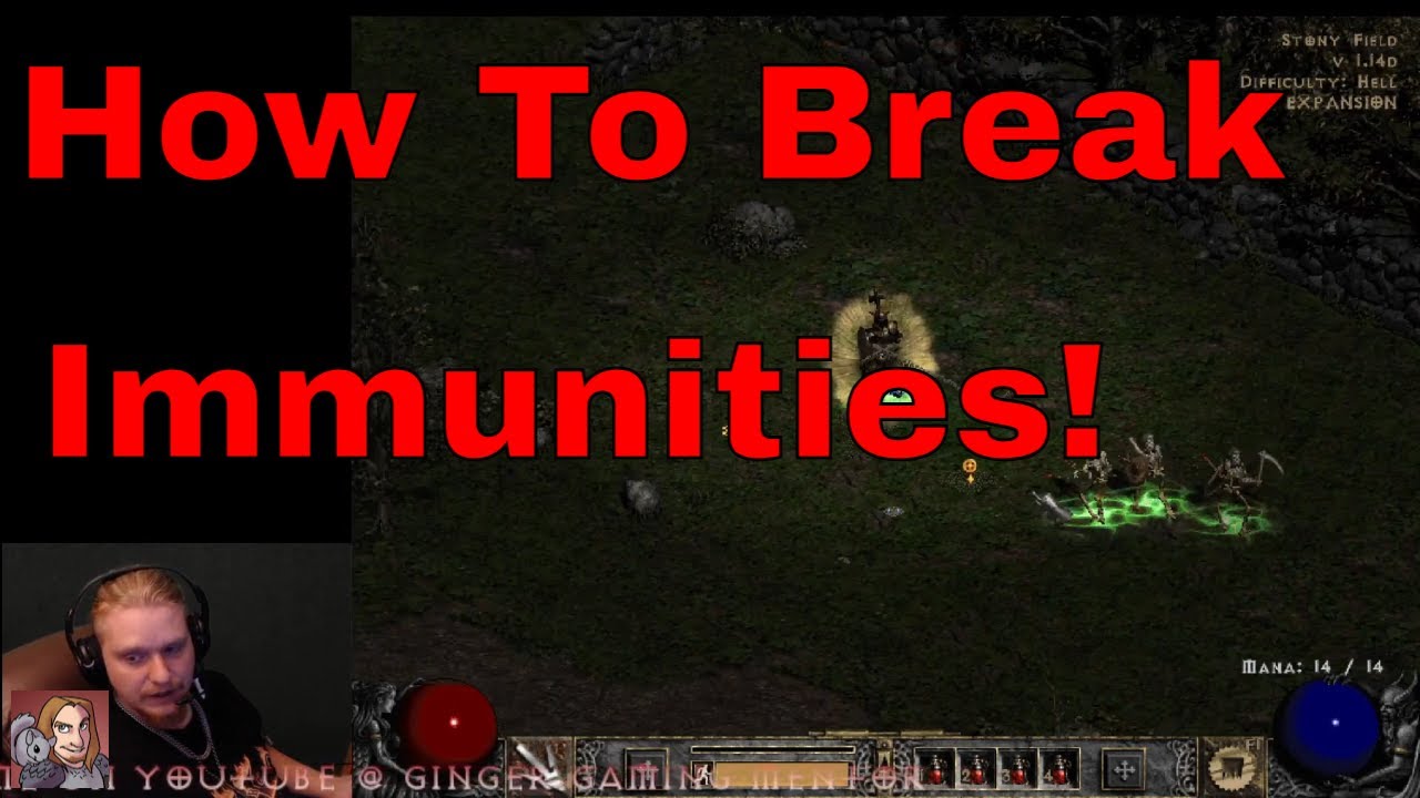 Diablo II Resurrected - Let's Talk About Monster Resistances & Immunities