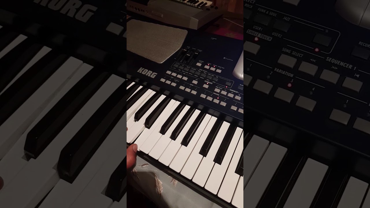 Korg pa 500 style  aranyszemek