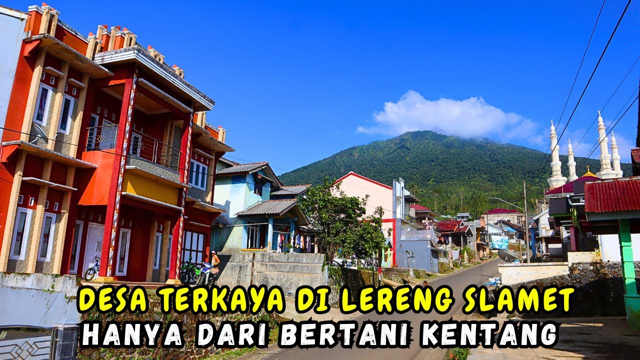 Sisi lain Bambangan Deretan Rumah Mewah Para Petani Kentang / Dusun Terkaya di Lereng Slamet