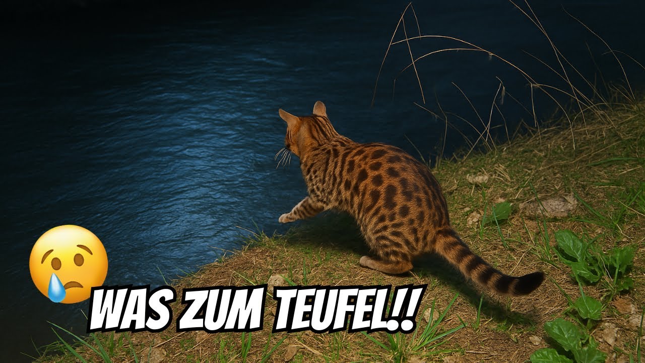 Hier hab ich Bali gefunden