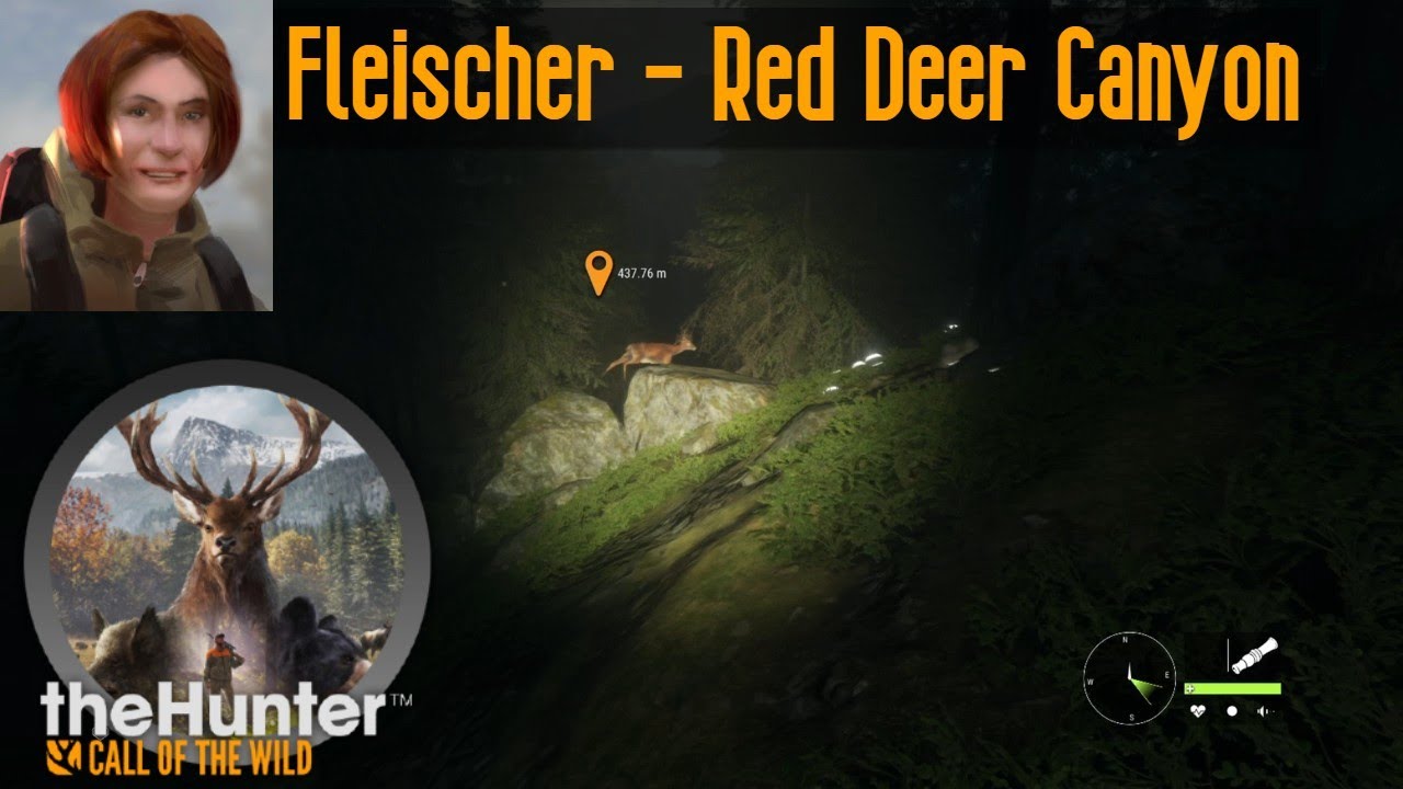 Fleischer - Red Deer Canyon The Hunter Call of the Wild