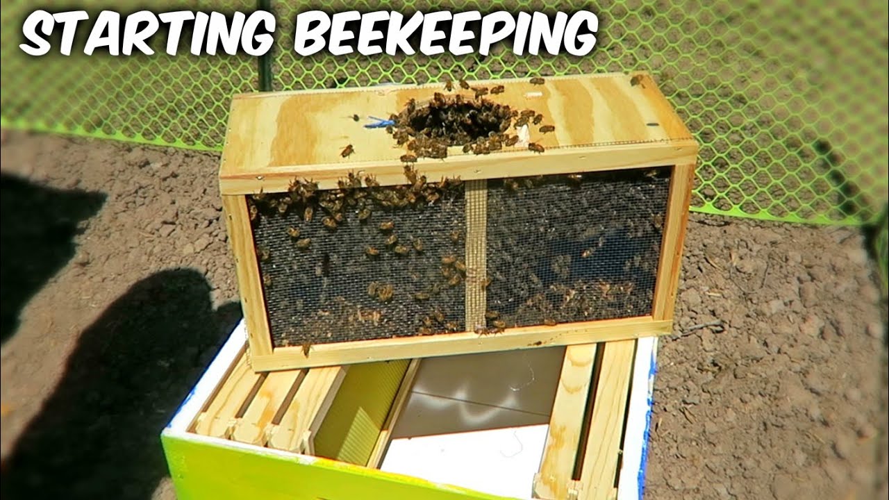 Starting Beekeeping - Vlog Week 1 Season 1