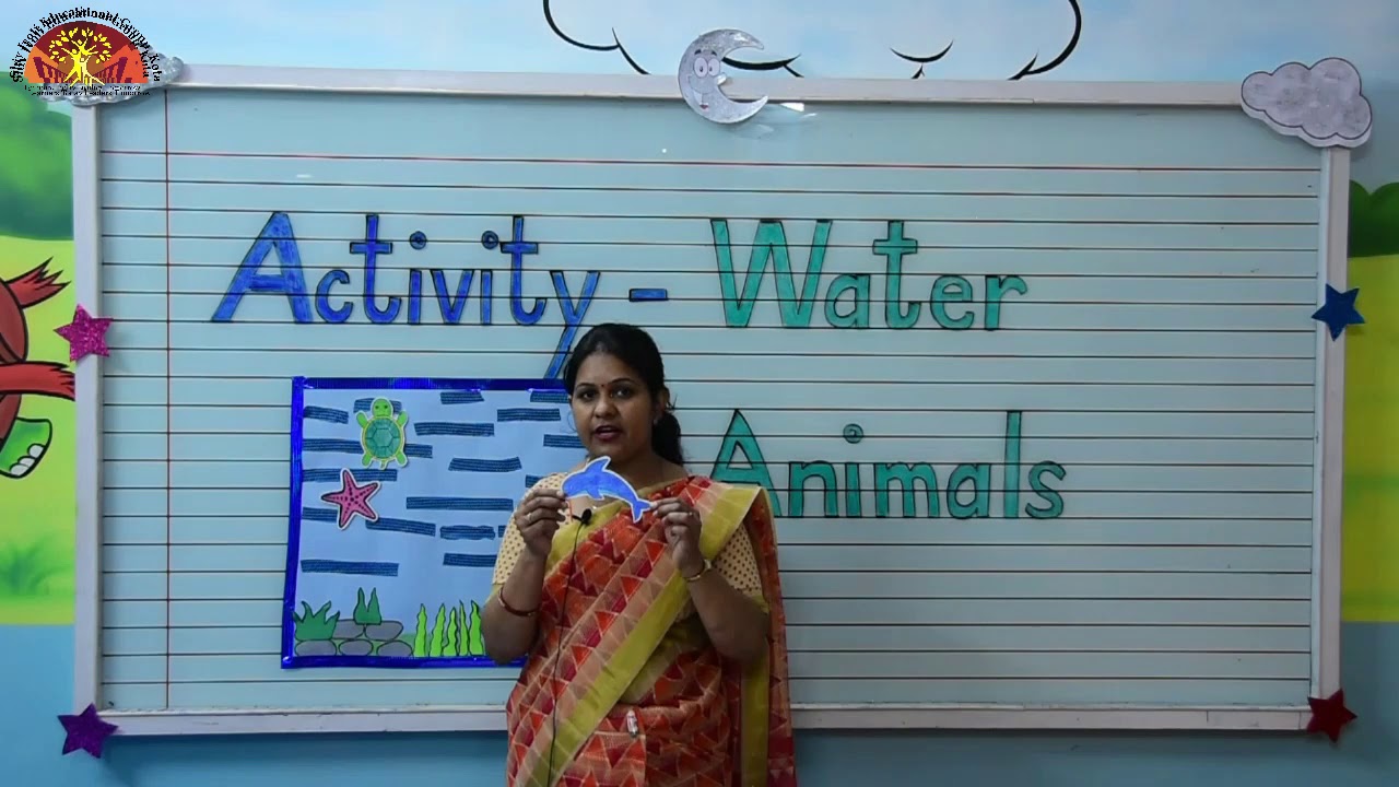 PRE PREP GENERAL AWARENESS ACTIVITY 'WATER ANIMALS'