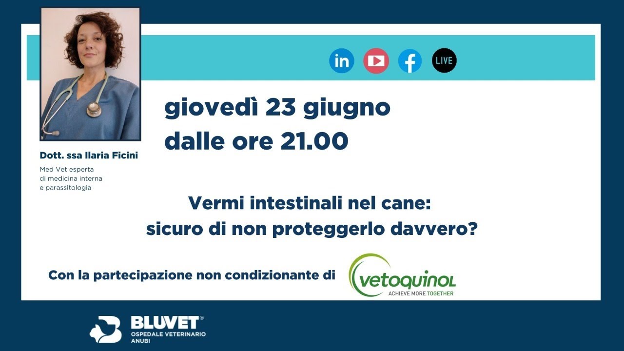 Quel verme intestinale del cane