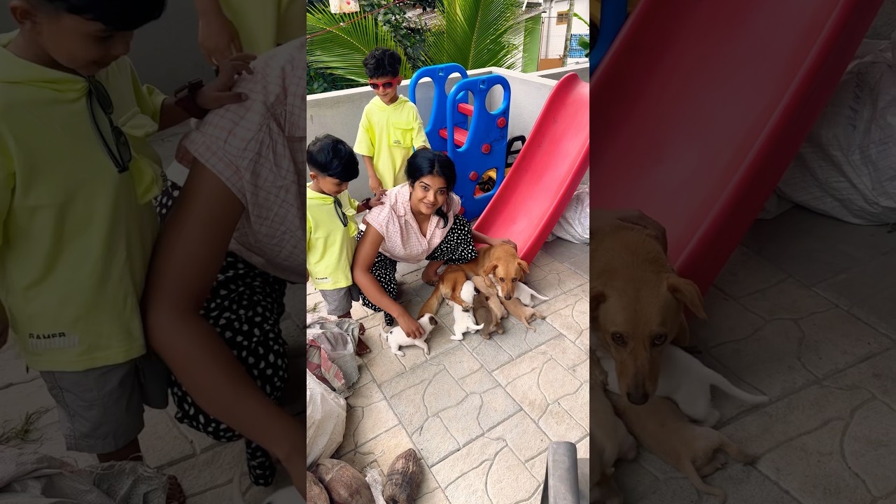#doglovers #pets #lilly #home #happiness #kids #wayanad #lifeofmine #pregnancy #petparent #leisure
