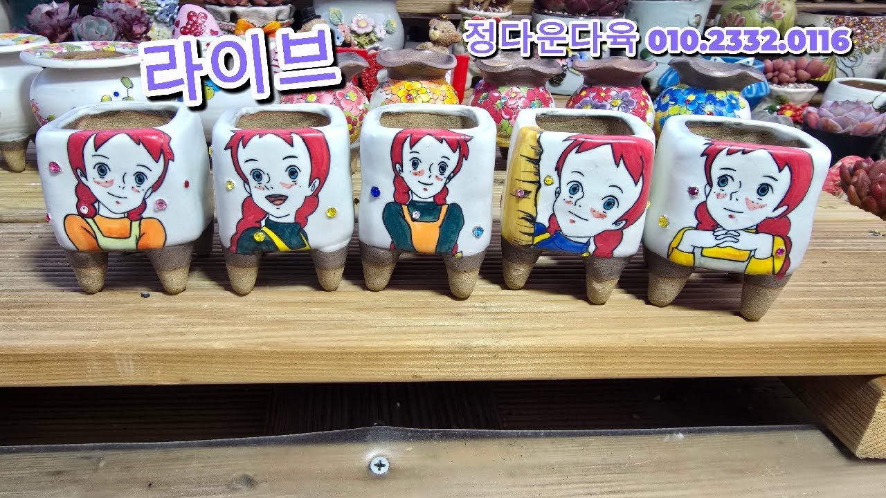 2월21일#정다운다육   라이브방송.