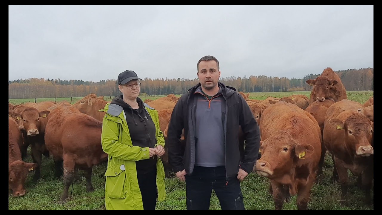 Luomuisa tilaesittely – Tenhon tila, Ulvila