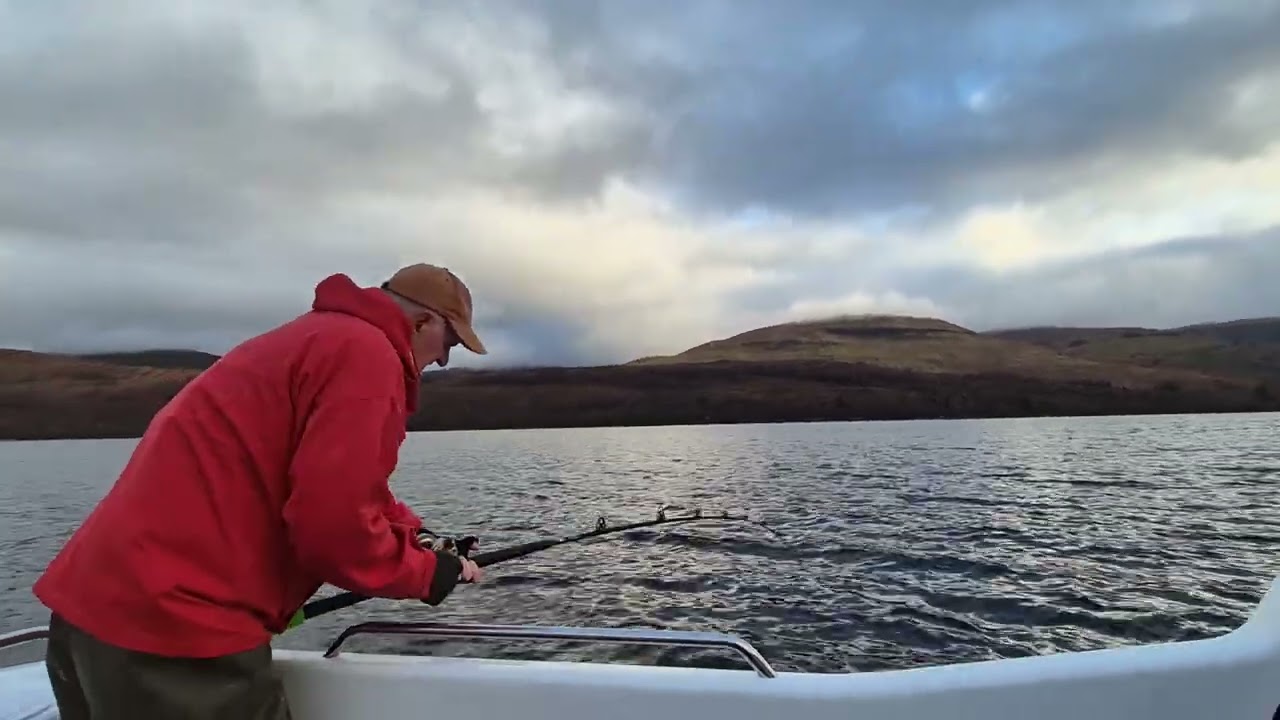 Loch Linnhe flat fish fest