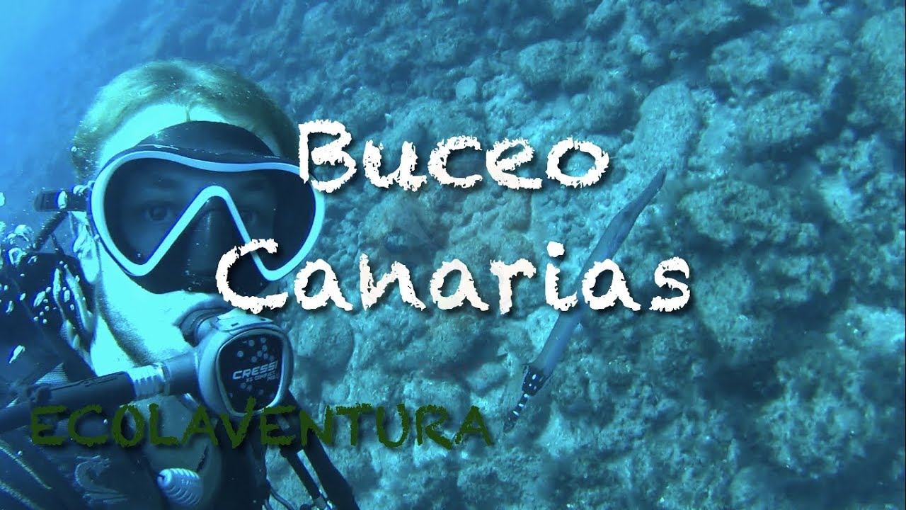 Buceo Canarias