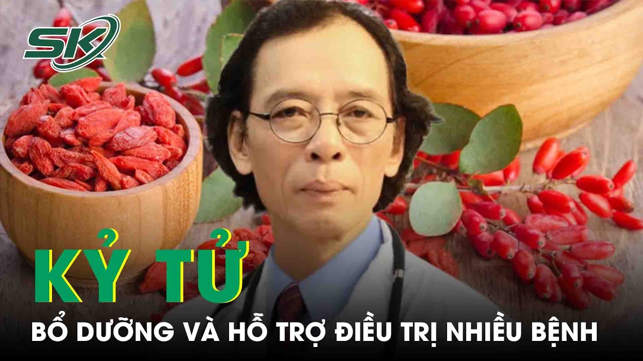 Kh&aacute;m Ph&aacute; T&aacute;c Dụng Của Kỷ Tử | SKĐS