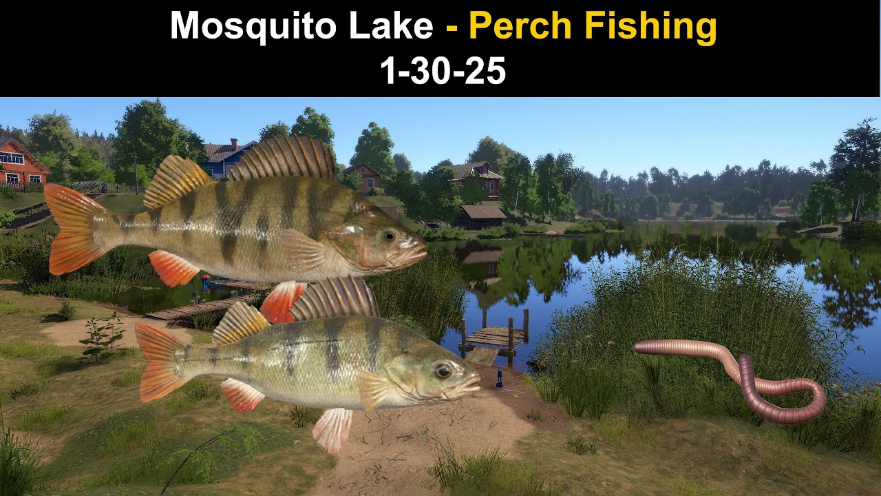 Russian Fishing 4, Mosquito Lake - Perch Fishing  1-30-25 (Patchnotes Review)